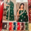 Embroidered Premium Tissue Silk Saree BB-6591 Model Catalog Embroidered Premium Tissue Silk Saree BB-6591 Model Catalog